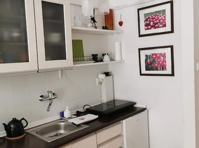 Klimatyczna Kawalerka W Centrum Warszawy Warsaw