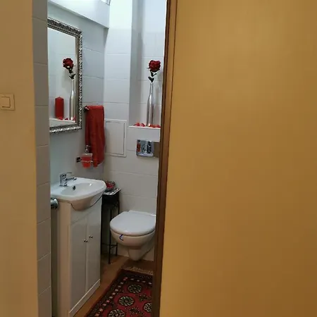 Klimatyczna Kawalerka W Centrum Warszawy *